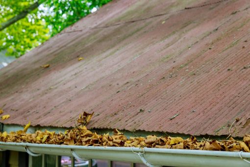 Gutter maintenance tips